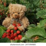 ued体育平台的安全性与用户隐私保护措施 md5u4ucrg