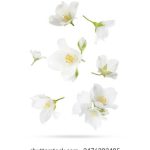 w88中文的游戏种类:从体育博彩到真人娱乐 sqfg1c3dzk