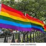 rb88平台评测:用户体验与游戏种类全面分析 xt4rr3051