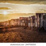 360体育在线直播观看高清免费体育赛事 2pdbwdt29m