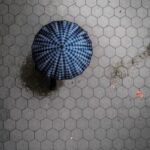 16001期双色球开奖结果公布,头奖花落谁家? 3cbn5