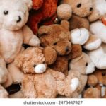 360全国开奖信息官方下载平台 51fc93f