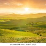 15198期足彩开奖结果揭晓:大奖花落谁家? 9cssgw781