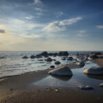 15选开奖号码最新公布结果查询 a69jl8tcf