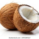 360全国开奖结果最新公布与查询指南 b7udrnh