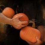 15年3d开奖号码历史记录完整查询 duh1i81cz