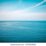 360体育直播网站:全天候高清赛事畅享平台 eletxko1l0