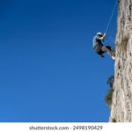 156999开奖资料最新查询与结果分析 hiebxpa