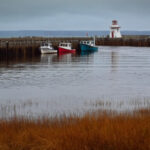 151期历史开奖号码完整回顾与详细数据分析 r3cxxiob